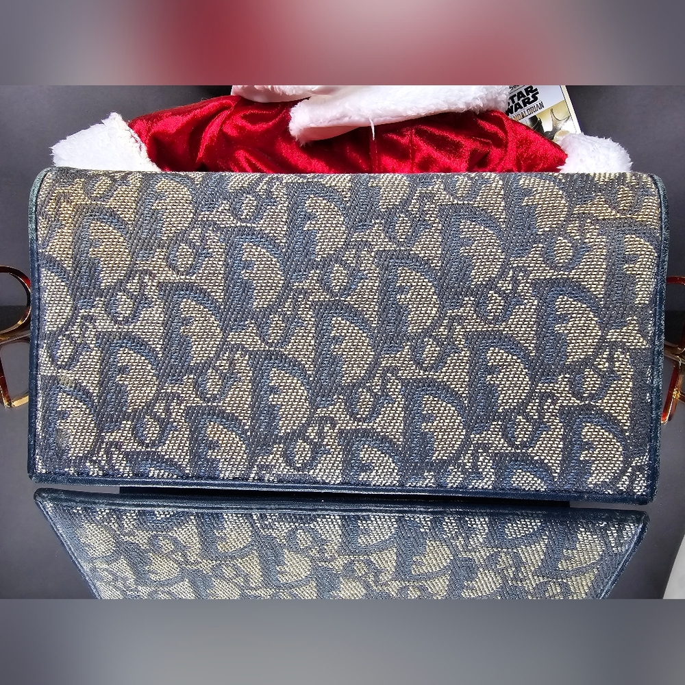 Designer Blue and Tan Women's Bag